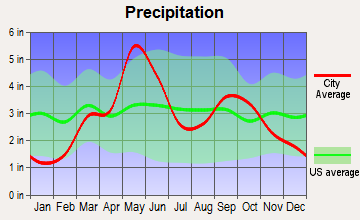 rain graph